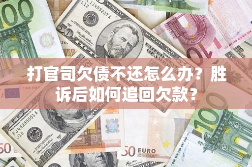 武汉打官司欠债不还怎么办？胜诉后如何追回欠款？