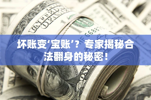 武汉坏账变‘宝账’？专家揭秘合法翻身的秘密！