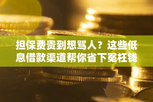 武汉担保费贵到想骂人？这些低息借款渠道帮你省下冤枉钱