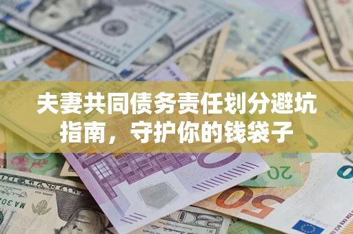 武汉夫妻共同债务责任划分避坑指南，守护你的钱袋子