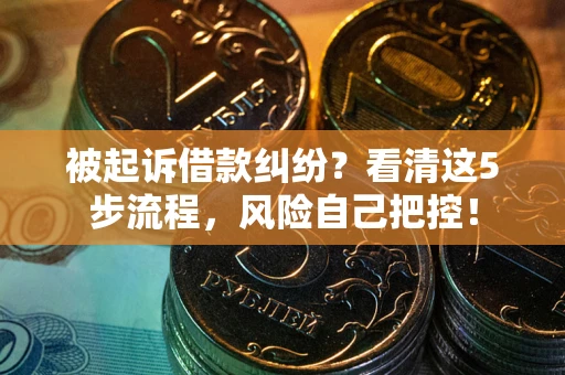 武汉被起诉借款纠纷？看清这5步流程，风险自己把控！