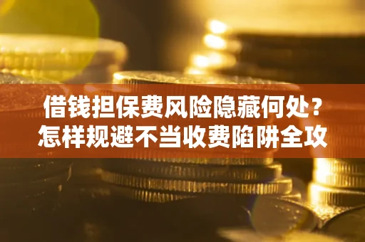 武汉借钱担保费风险隐藏何处？怎样规避不当收费陷阱全攻略！