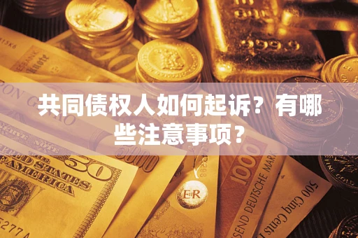 武汉共同债权人如何起诉？有哪些注意事项？