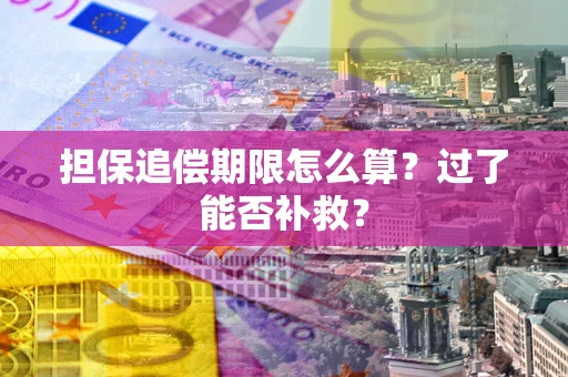 武汉担保追偿期限怎么算？过了能否补救？